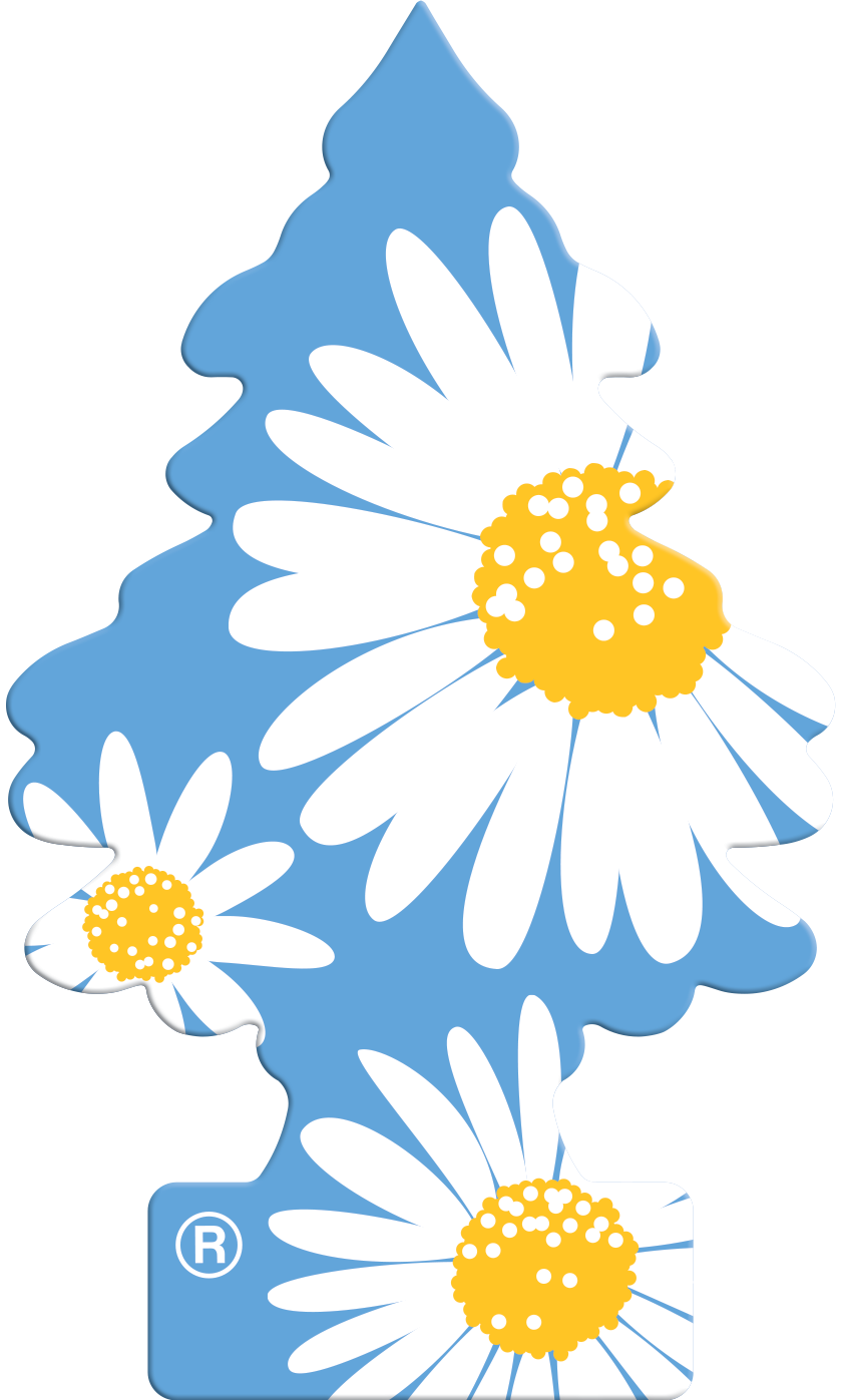 WUNDER-BAUM Daisy Flower 1-pack